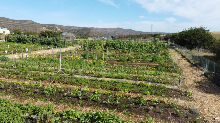 Commercial Property for Sale in Mossel Bay Rural Western Cape